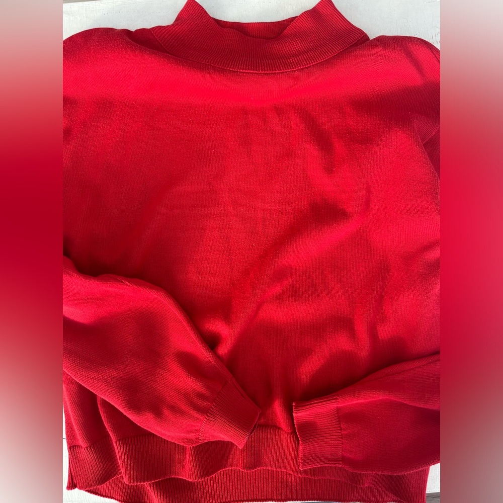 Pendleton Sweater - image 1